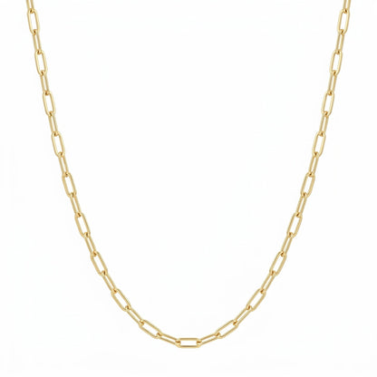 Veinci Classics Paperclip Necklace