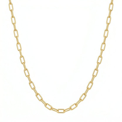 Veinci Classics Paperclip Necklace