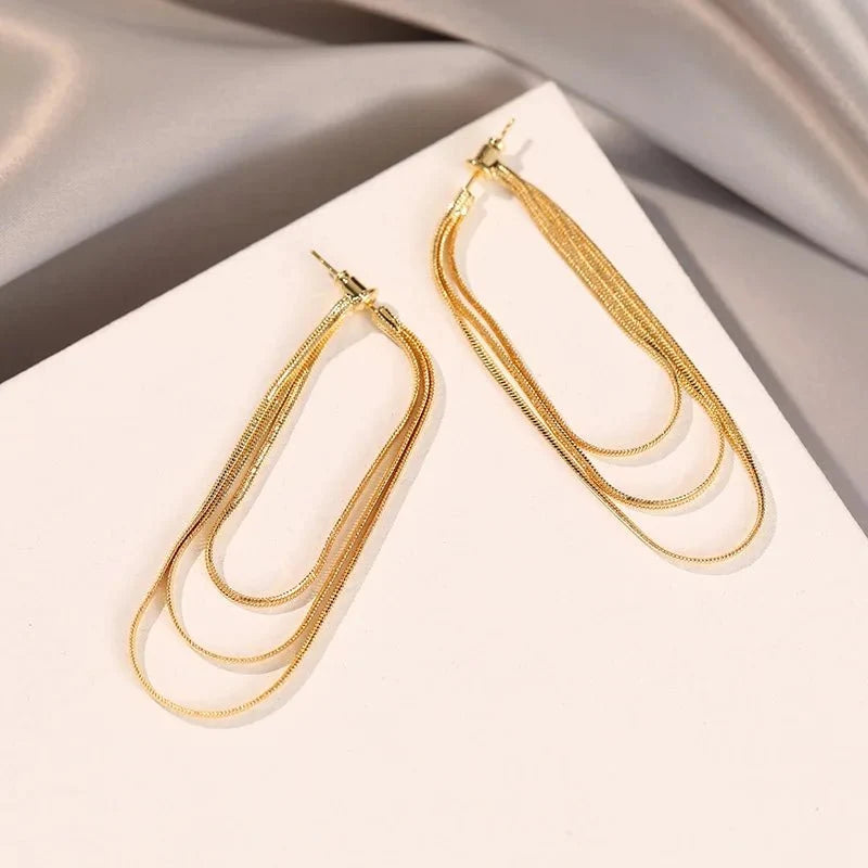 Dainty Tassel Dangle Chain Earrings