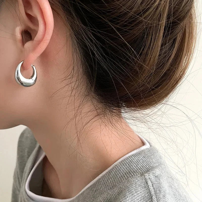 S925 Classy Hoop Dainty Earrings